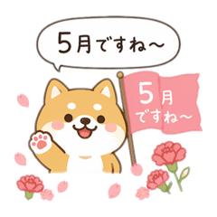 popola_20260427215323