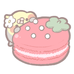 玄鳳鸚鵡和草莓糖果