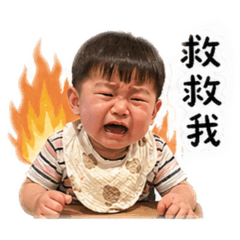 Q寶上班篇