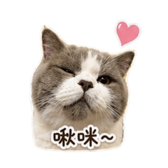 _咘咘