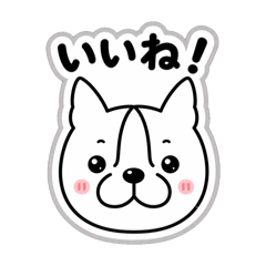 yoo26_20260427120732