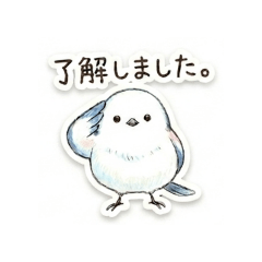 kinakomotchi55_20260427135001