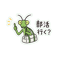 praying mantis greeting