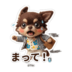 Stylish Felt Chihuahua: Daily Life