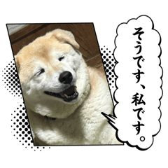 kirua_20260427191711