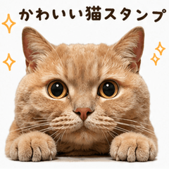 Chubby Orange Tabby Cat Stickers