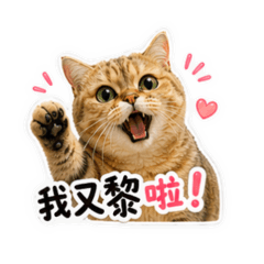 小C妹貼圖