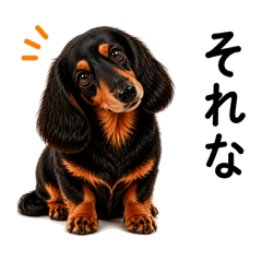 Office MAIGODOG_20260427144650