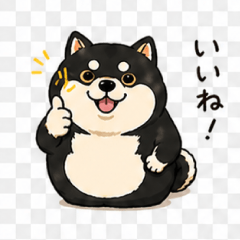 ChubbyShibainukuro