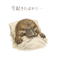 Tasman Studio_20260427161714