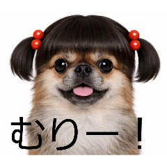 NEKOMAMUSHI_20260427163533