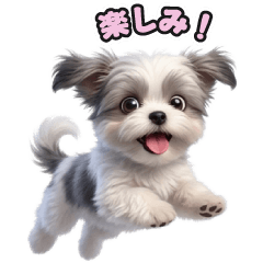 Chihuahua-Maltese LINE Stickers 227