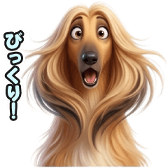230 stickers featuring Afghan Hounds