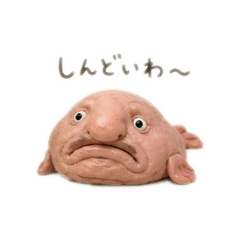 chinnjuusan