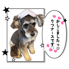 HanaHana_20260427181256