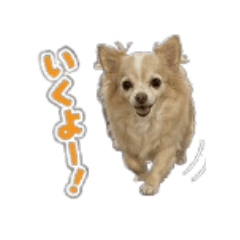 FANG SHOP_20260427182118