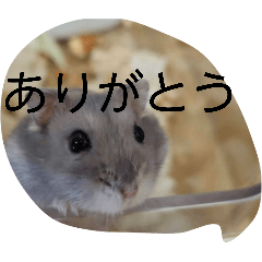 yukina_20260427202044