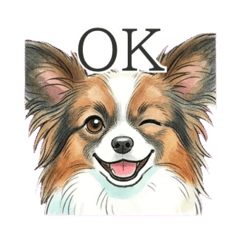 hanachocorin_20260427222507