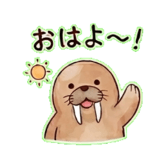 Walrus - Daily Chat Stickers