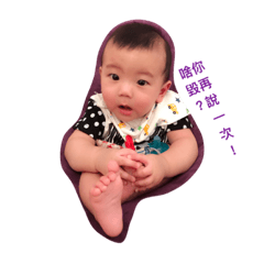 廷