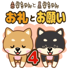 Red Shiba lnu and Black Shiba lnu 4