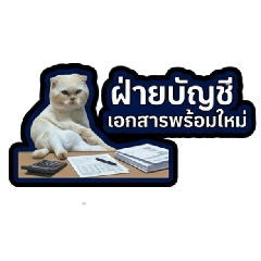 Beautiful Job_20260427123111