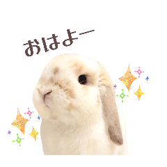 milmof_20260427142553