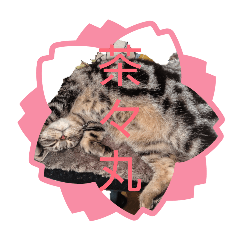 osamu_20260427202050