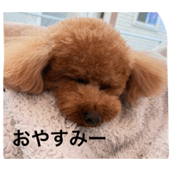 Moomoo_20260427202643