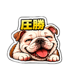 bomuchan_torachan_20260427202509