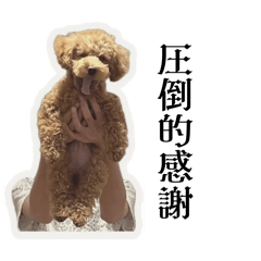 japanet_20260427230213