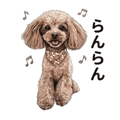 kurusayari_20260427225937