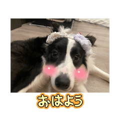 NATTY_20260427230704