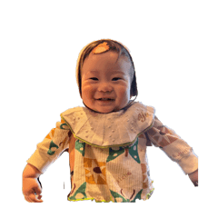 kinoko_20260427230146