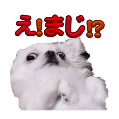 yossyyyy_20260427230723