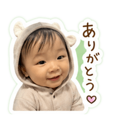 risa_20260427192528