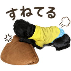 shanti_20260427205226