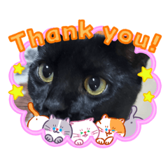 fogfogdog_20260427205312