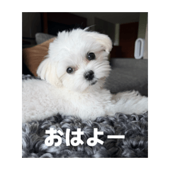 Nodoka_20260427205421