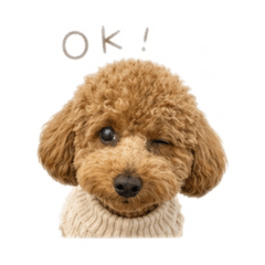 choco_20260427205726