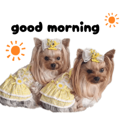 haruka_20260427210102