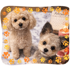 hakuma chiharu_20260427205931