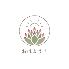 Succulent Echeveria