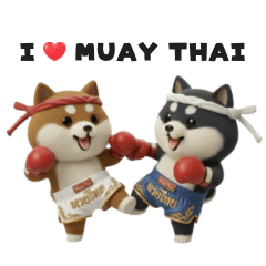 Muay Thai Shiba Inu Couple 2.