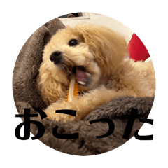 tsuyu_20260427213111