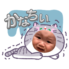 maroro_20260427212505