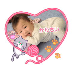 kohana_20260427213414