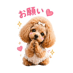 Niche_20260427233137