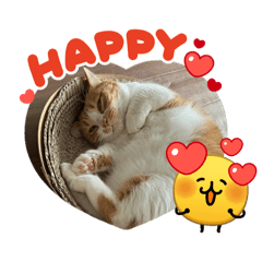 KAPPADON88Z_20260427233035