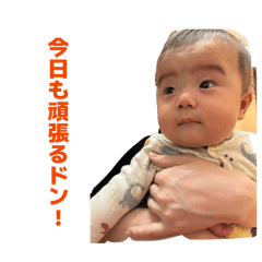 Sawato Fukuda_20260427233621